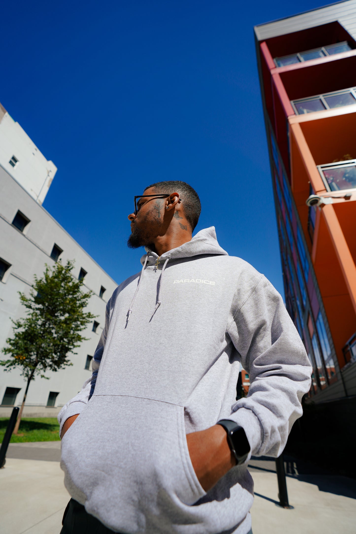 Paradice hoodie